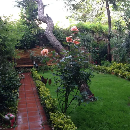 Otel Garden 2*
